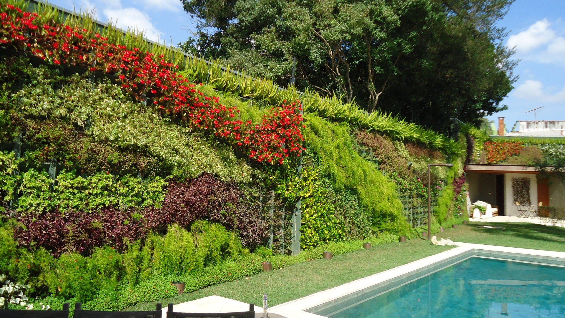 fotos jardim vertical:Lindas fotos jardim vertical na parede fotos jardim vertical:Lindas fotos jardim vertical na parede